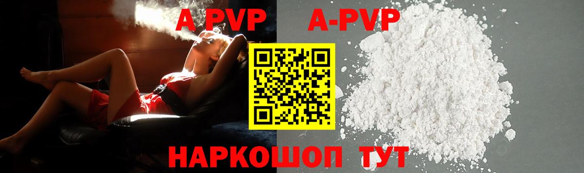 Альфа ПВП СК Нововоронеж