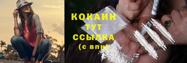 мяу мяу мука Пестово