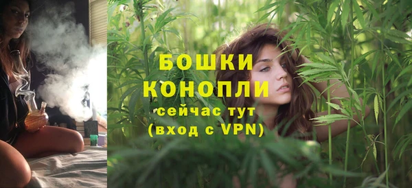 мяу мяу мука Пестово