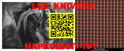спиды Камышлов