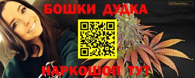 спиды Камышлов
