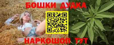 спиды Камышлов