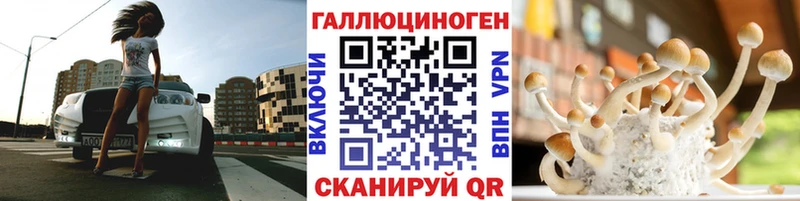 kraken   хочу   Нововоронеж  Псилоцибиновые грибы Psilocybe 