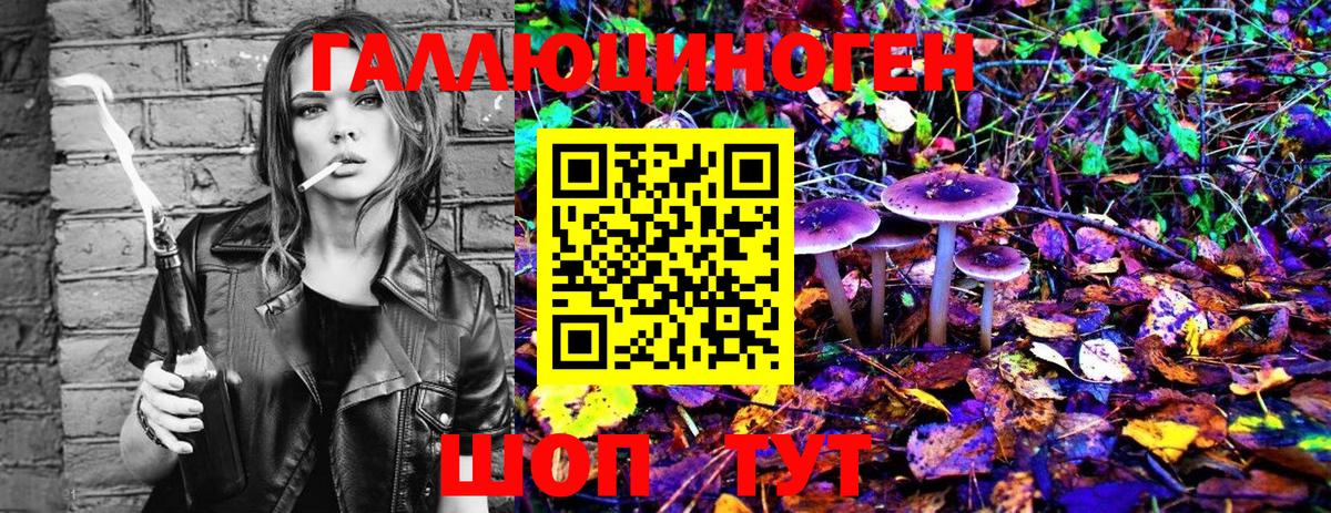 Псилоцибиновые грибы MAGIC MUSHROOMS Нововоронеж