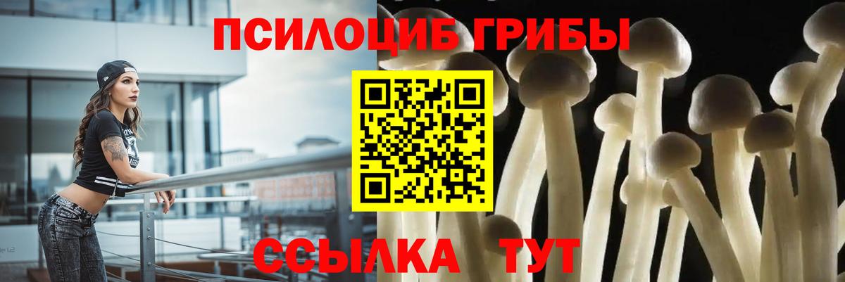 Псилоцибиновые грибы мицелий  Вход с VPN  Псилоцибиновые грибы Magic Shrooms  Нововоронеж 